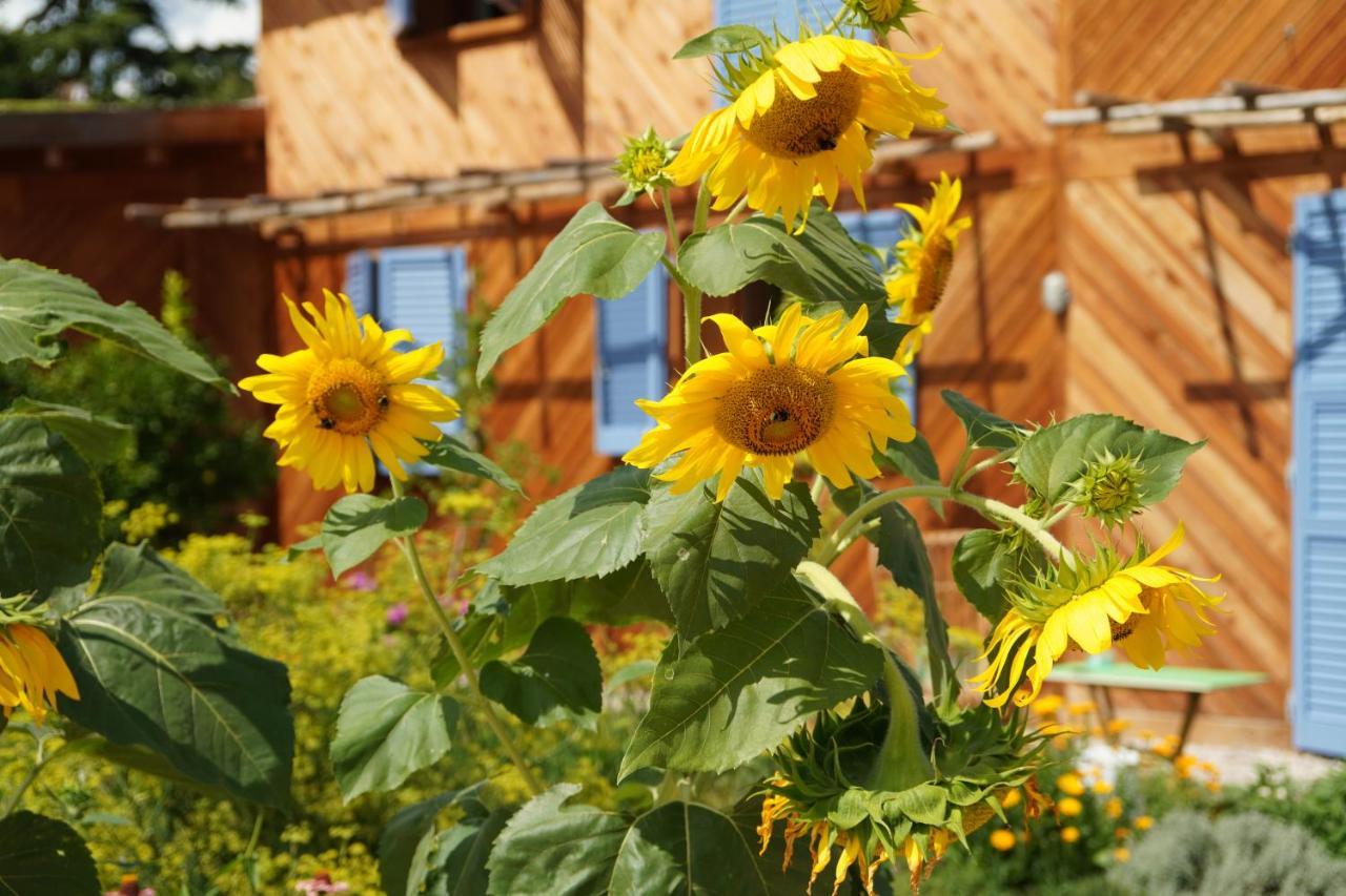 Bed and Breakfast Casa Viva Marciaga Екстер'єр фото